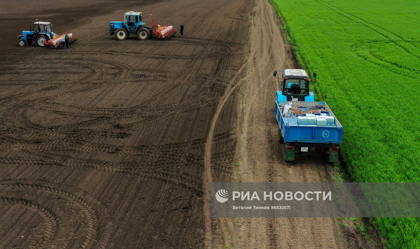 Весенняя посевная в Краснодарском крае