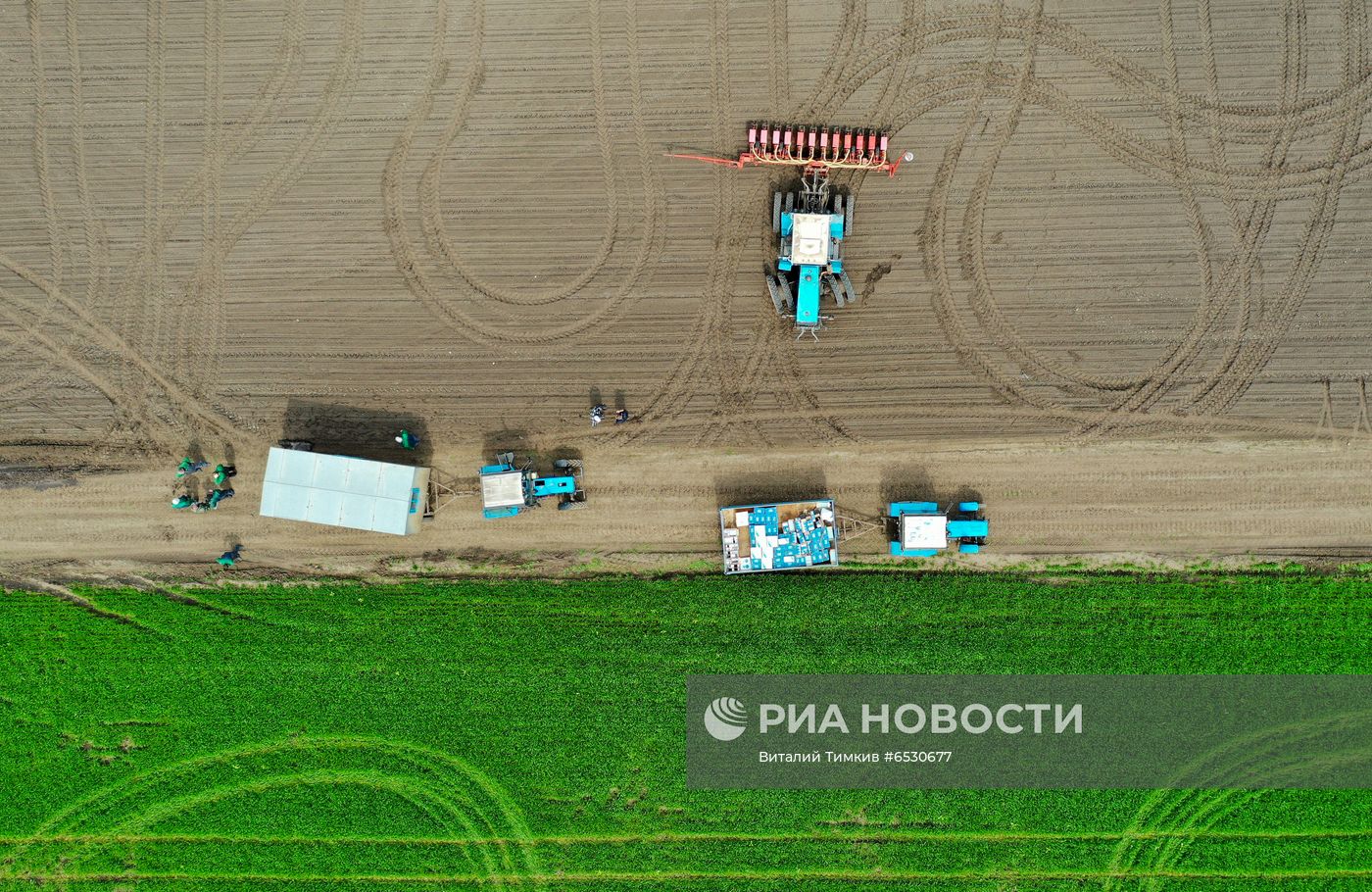 Весенняя посевная в Краснодарском крае
