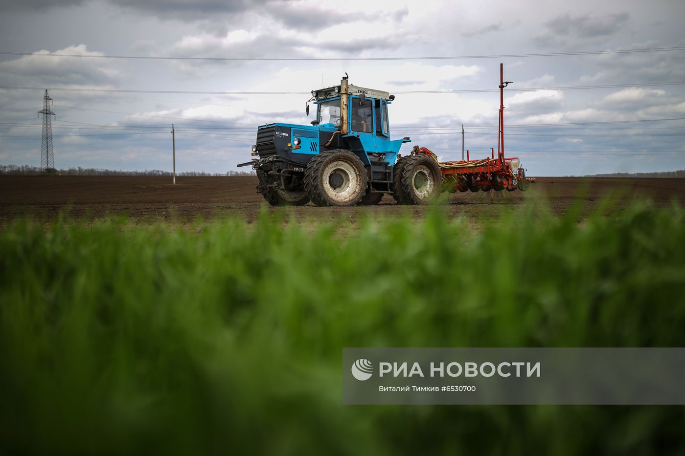 Весенняя посевная в Краснодарском крае