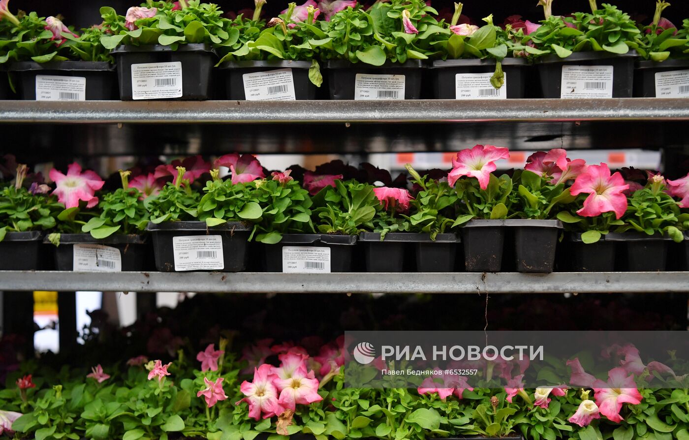 Подготовка к дачному сезону