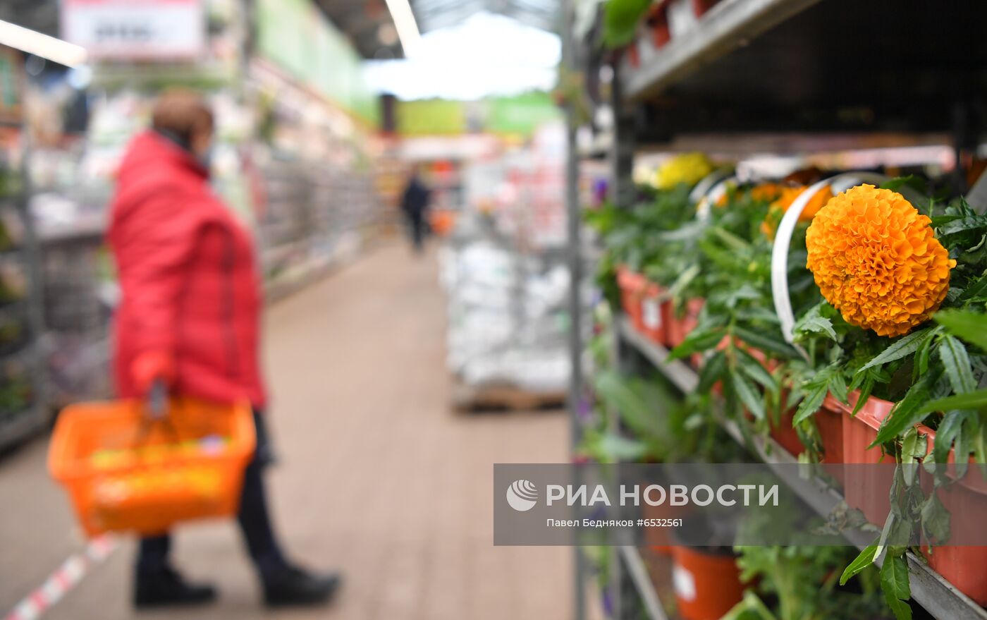 Подготовка к дачному сезону