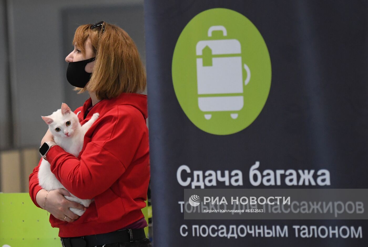 Прилет самолета S7 Airlines в новой ливрее в Домодедово