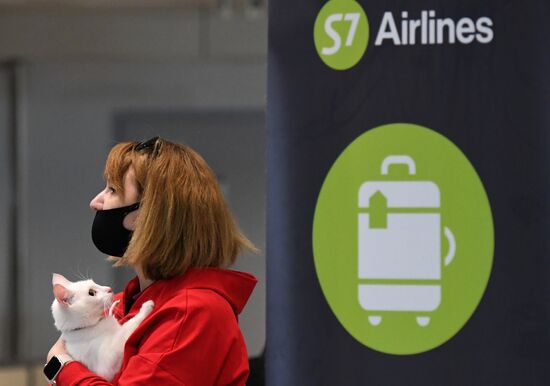 Прилет самолета S7 Airlines в новой ливрее в Домодедово