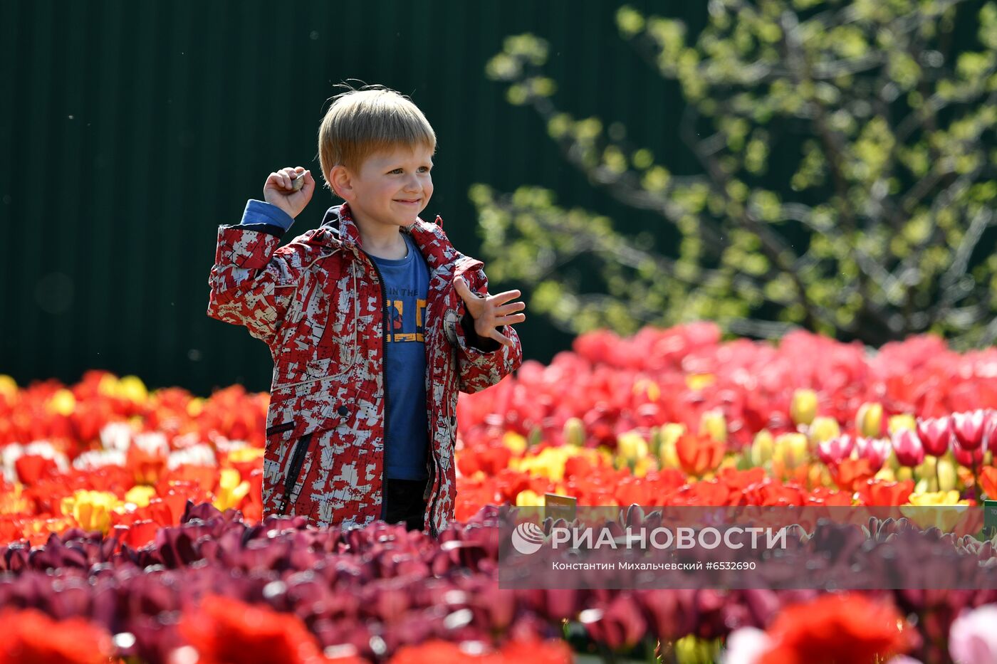 "Парад тюльпанов" в Ялте