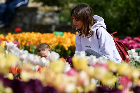 "Парад тюльпанов" в Ялте