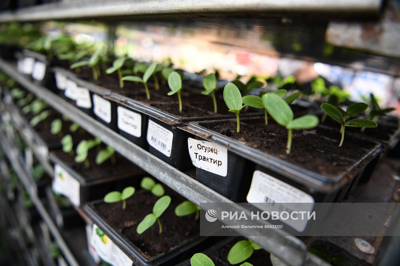 Подготовка к дачному сезону