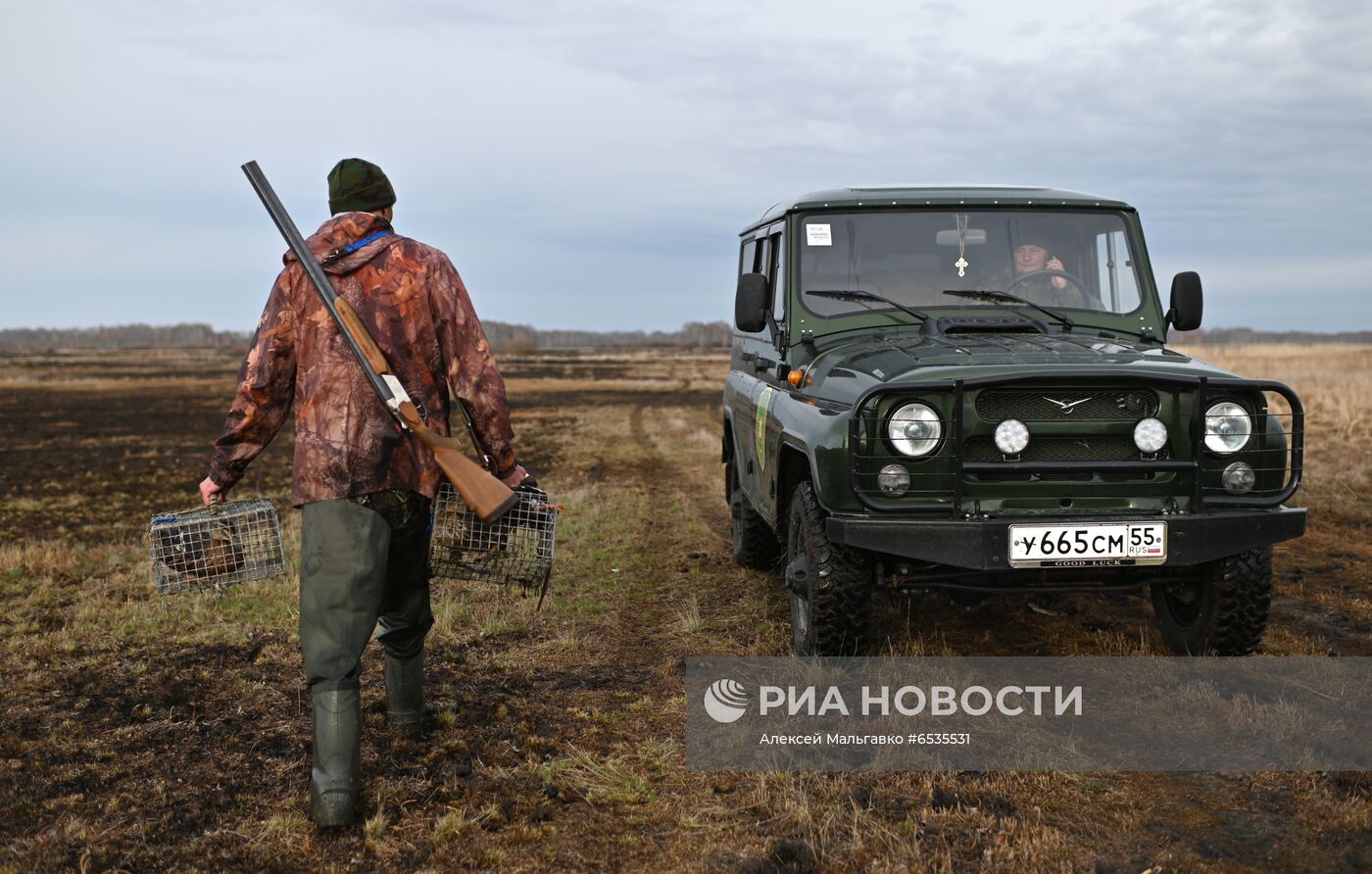 Работа егеря в сезон весенней охоты в Омской области