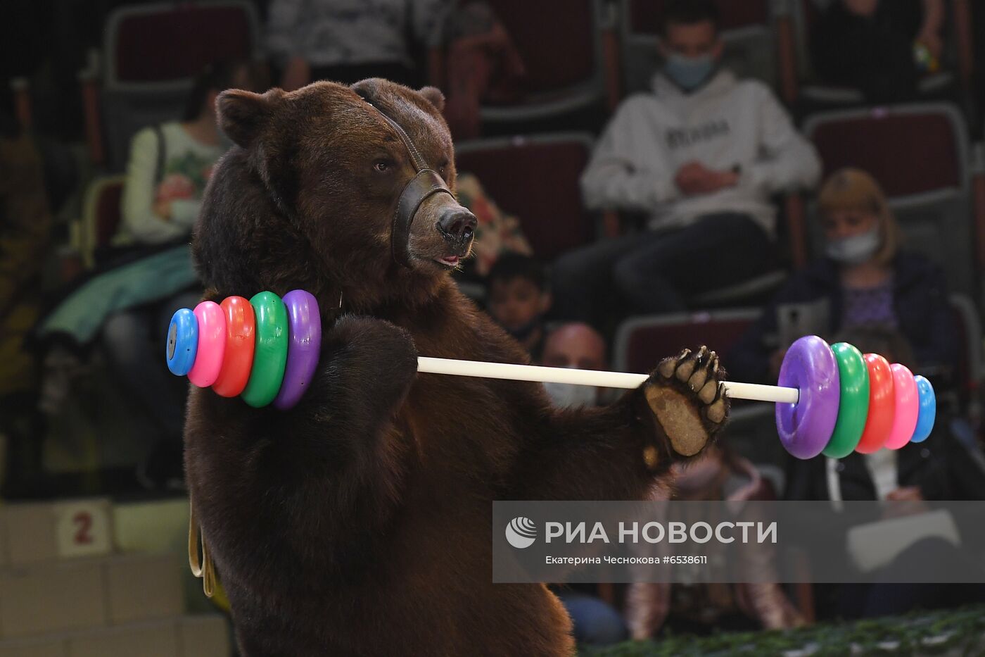 Мероприятия Росгосцирка по случаю 76-летия Победы