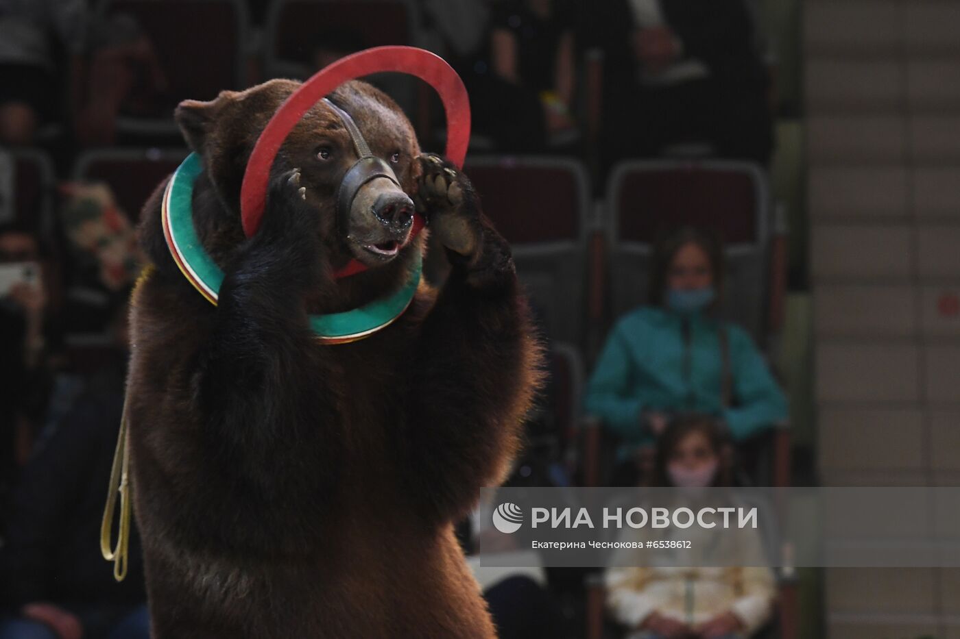 Мероприятия Росгосцирка по случаю 76-летия Победы