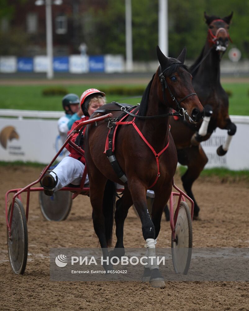 Открытие скакового сезона в Москве