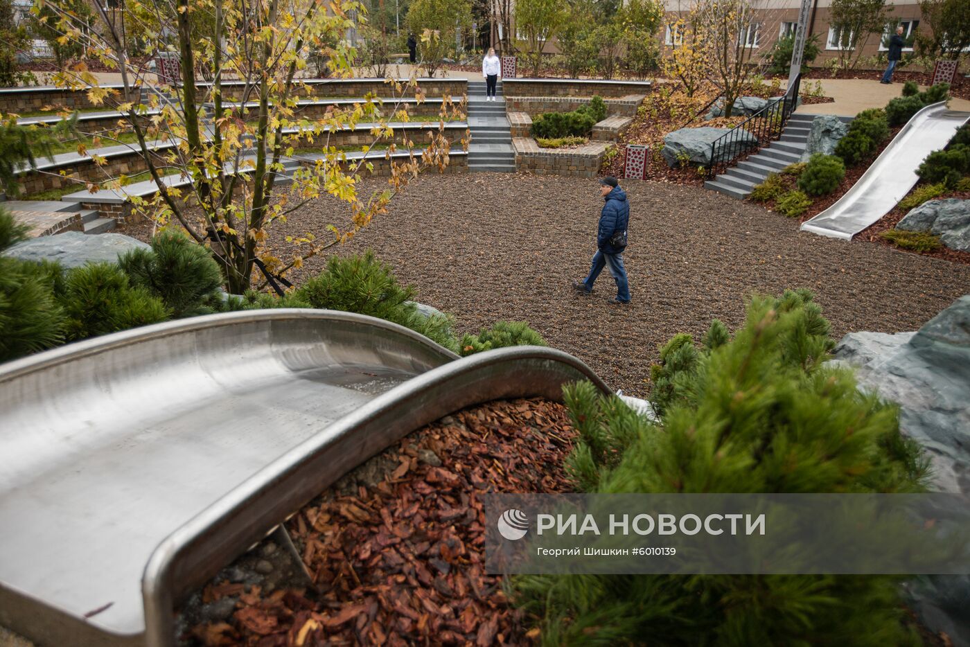 Фотофакт. Цветение зимней вишни в Чунцине