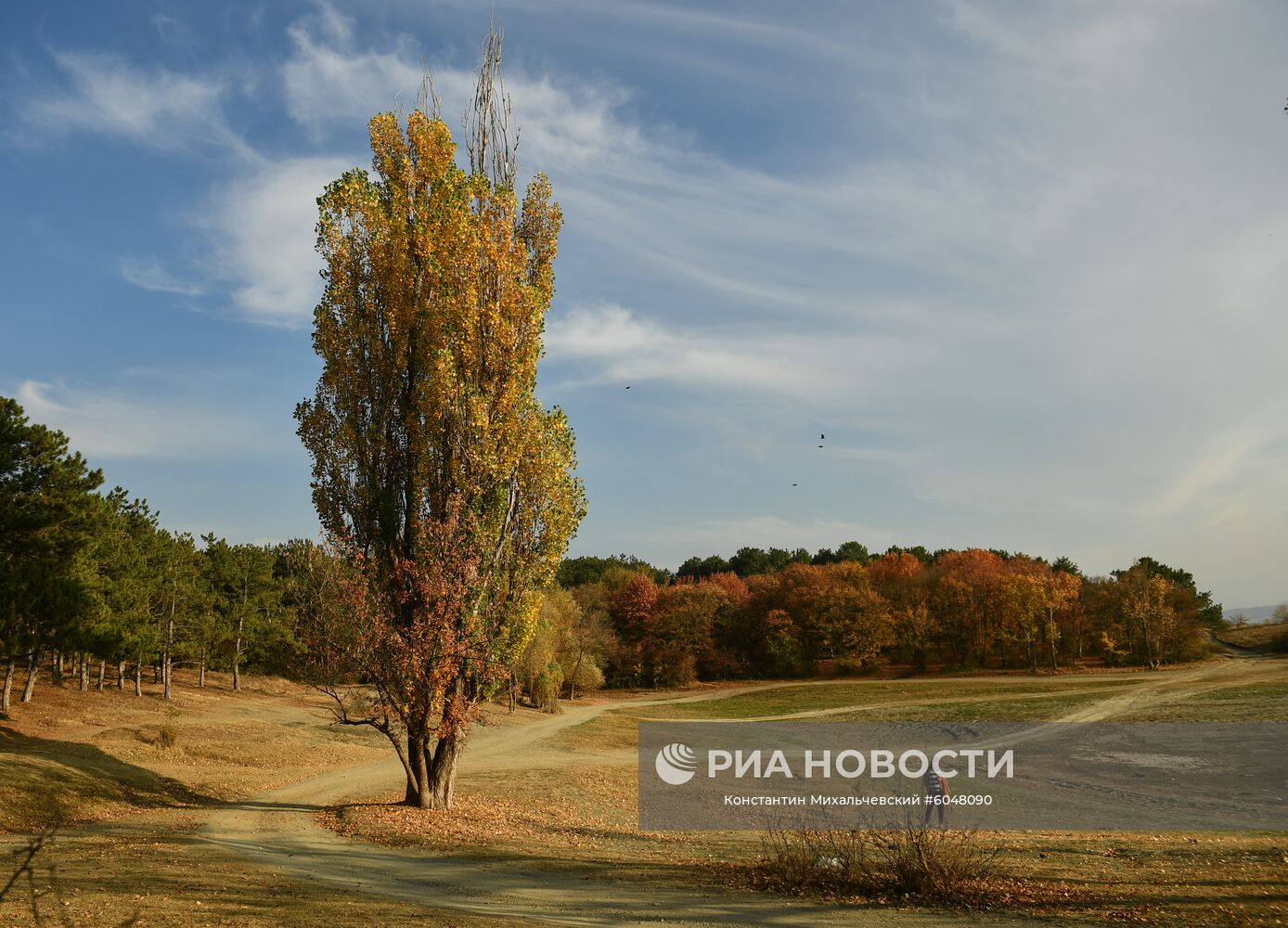 Кесслерский лес в Крыму осенью