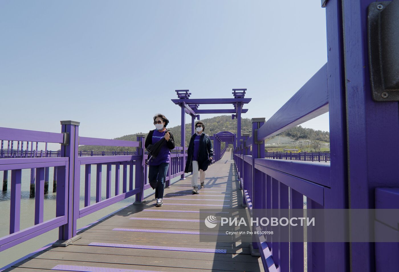 Пурпурный мост в Южной Корее