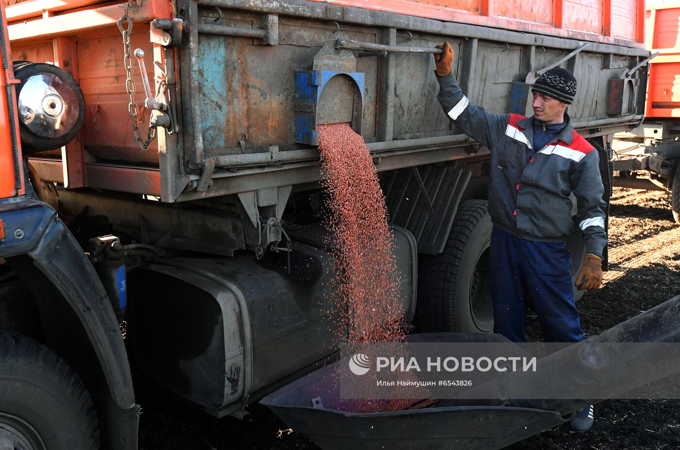 Посевные работы в Красноярском крае