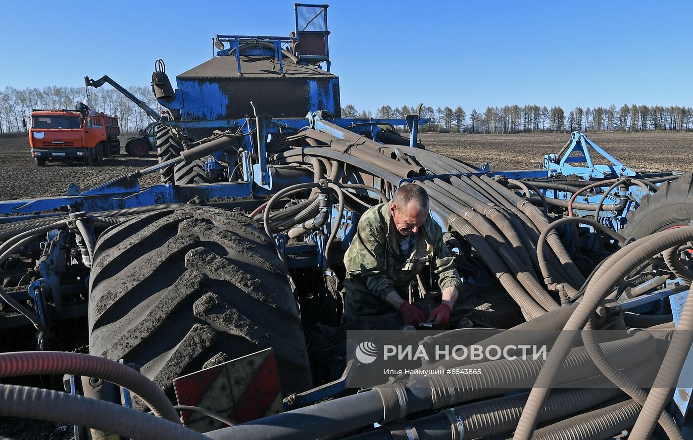 Посевные работы в Красноярском крае