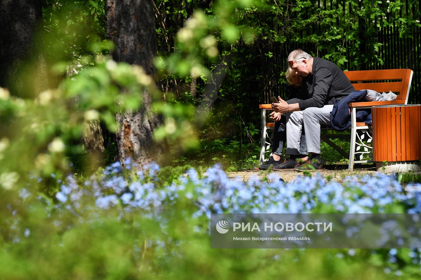 Тёплая погода в Москве 