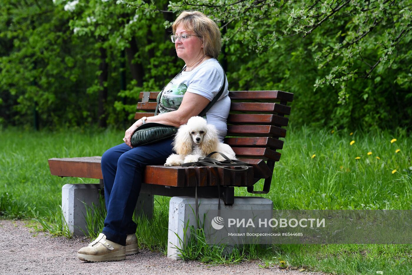 Тёплая погода в Москве 