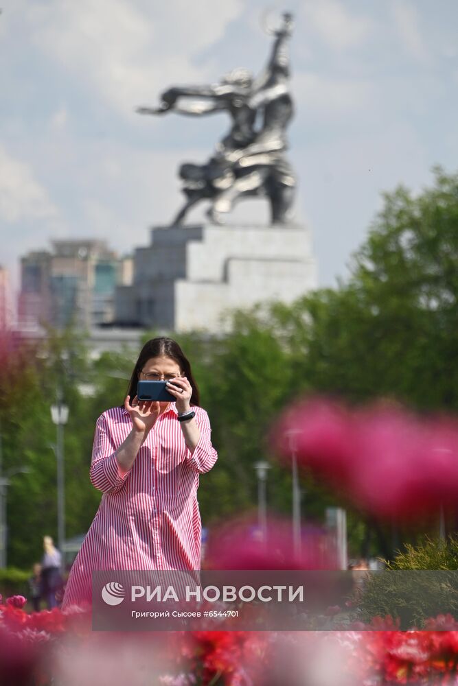 Тёплая погода в Москве 