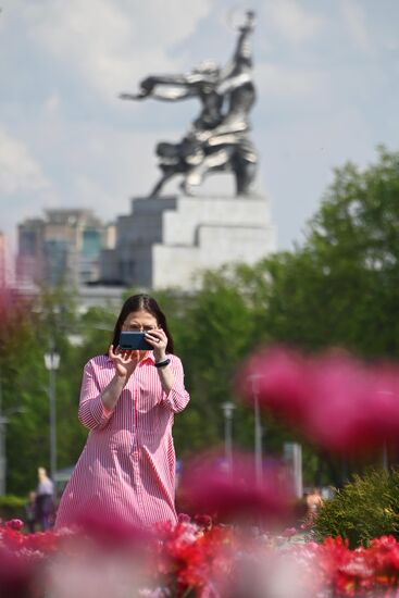 Тёплая погода в Москве 