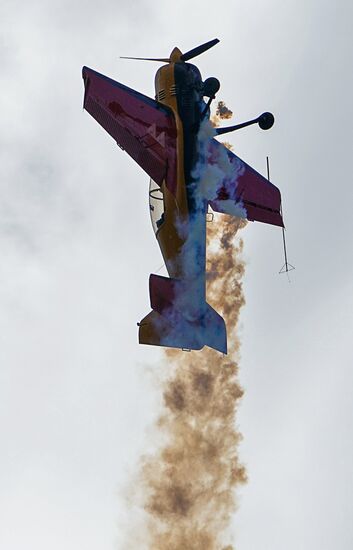 Мероприятия к 30-летию пилотажных групп "Русские Витязи" и "Стрижи" 