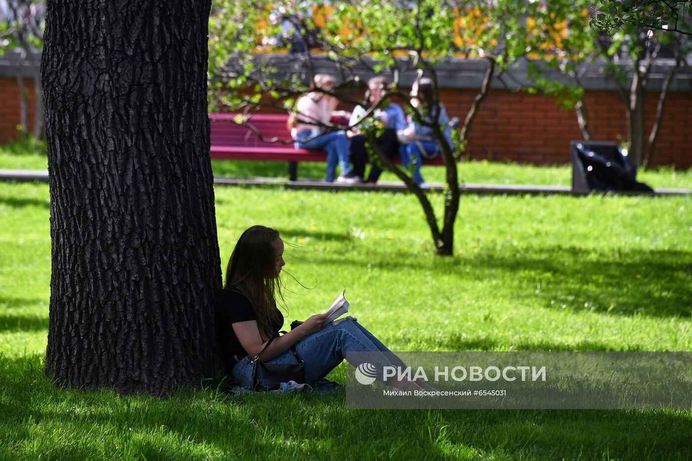 Тёплая погода в Москве 