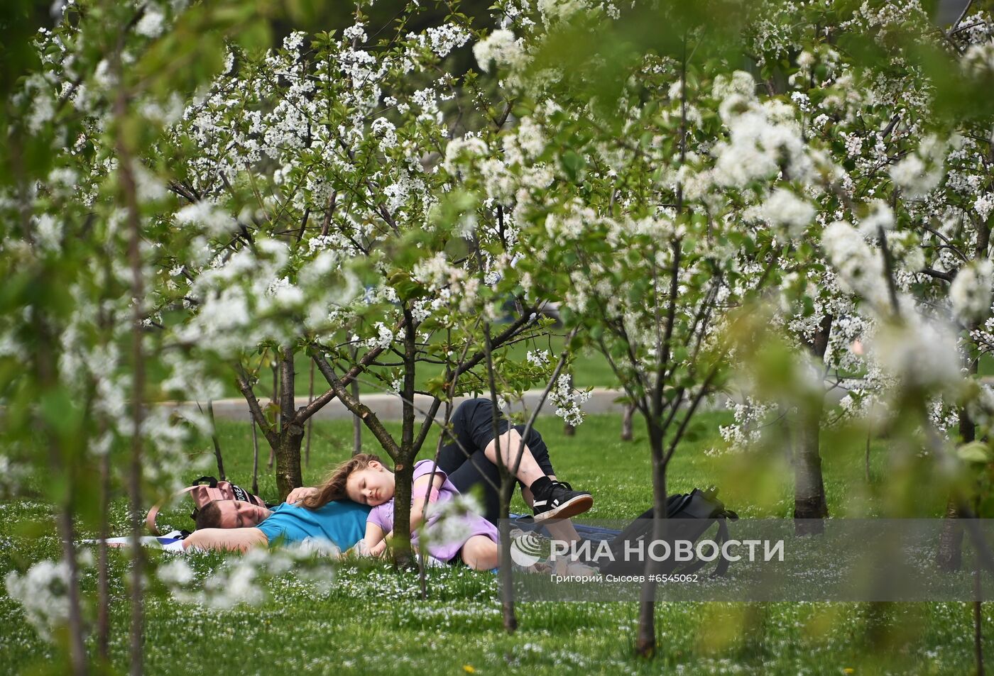 Тёплая погода в Москве 