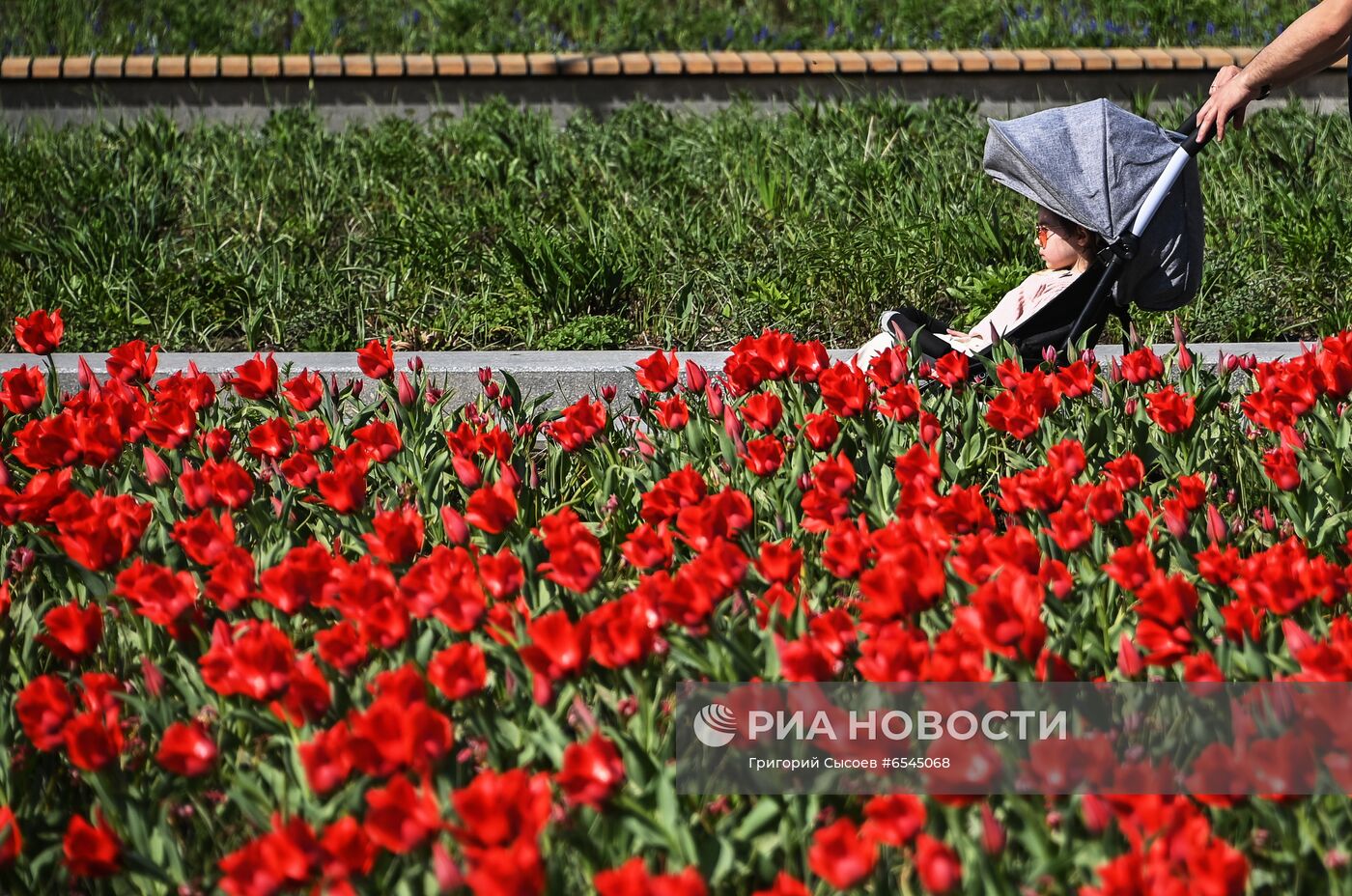 Тёплая погода в Москве 