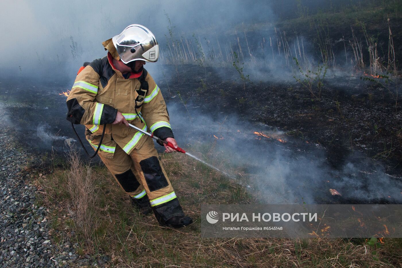 Лесной пожар в Тюменской области