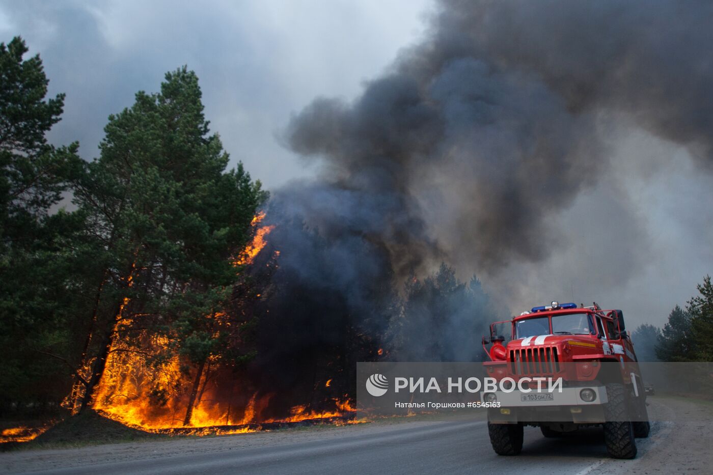 Лесной пожар в Тюменской области