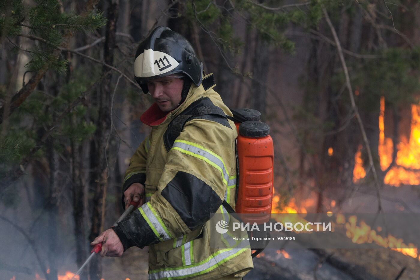 Лесной пожар в Тюменской области