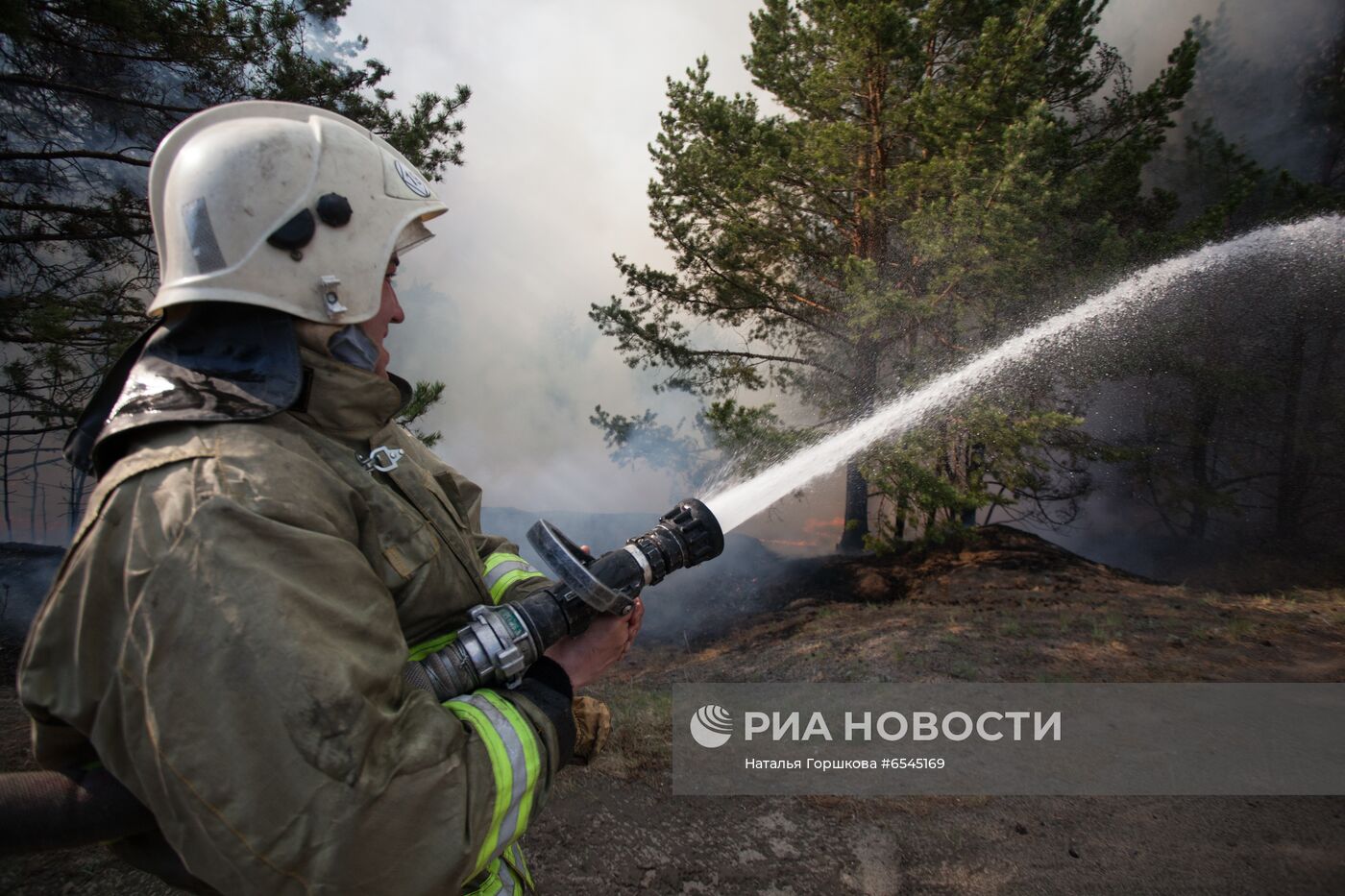 Лесной пожар в Тюменской области