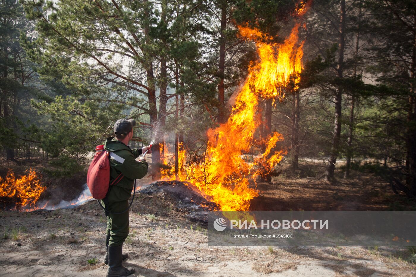 Лесной пожар в Тюменской области