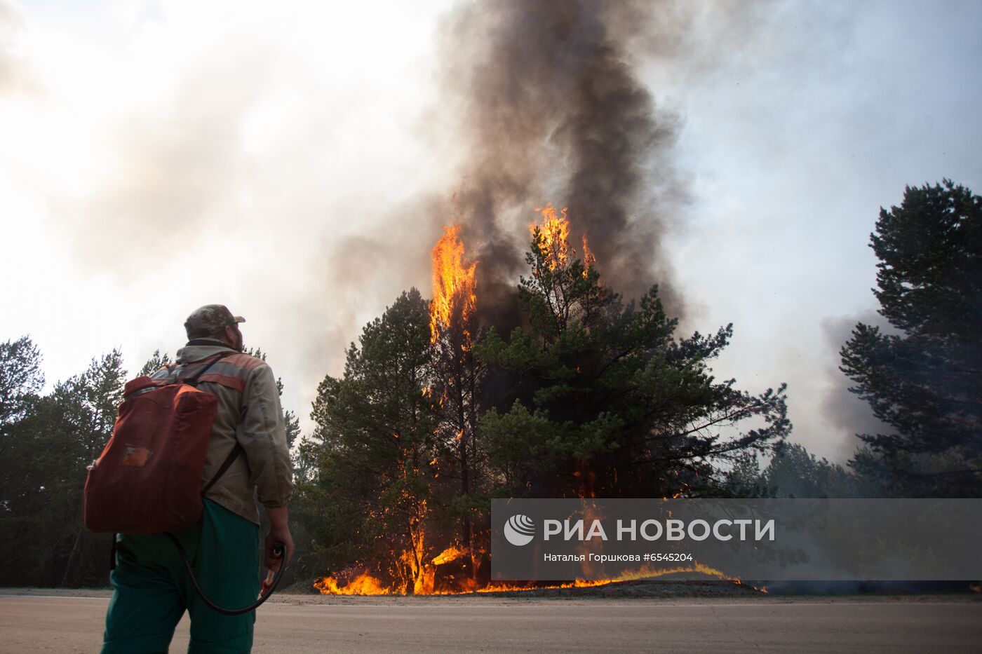 Лесной пожар в Тюменской области