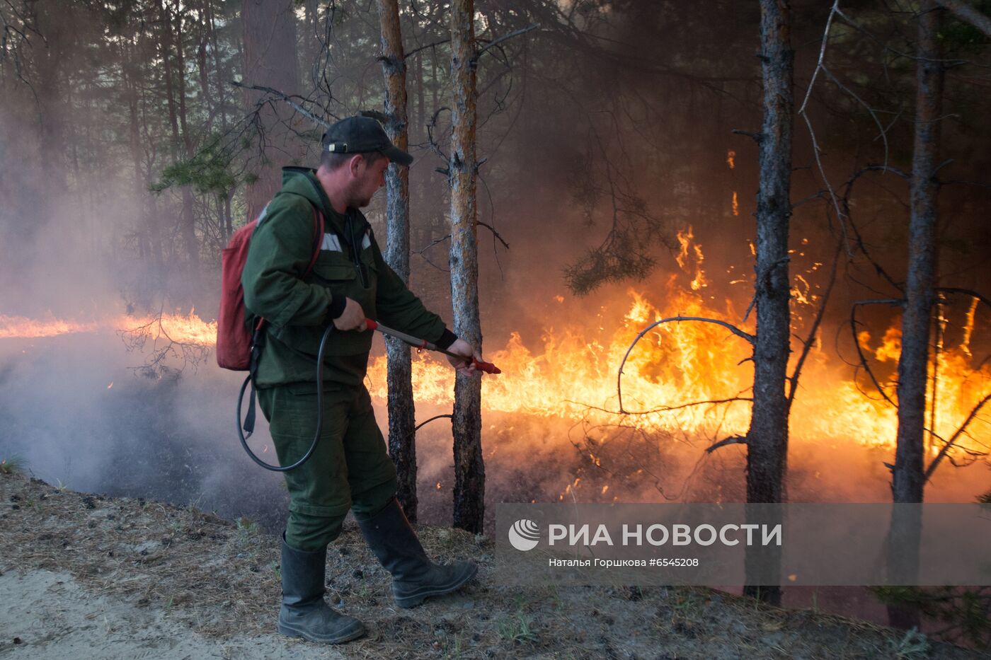 Лесной пожар в Тюменской области