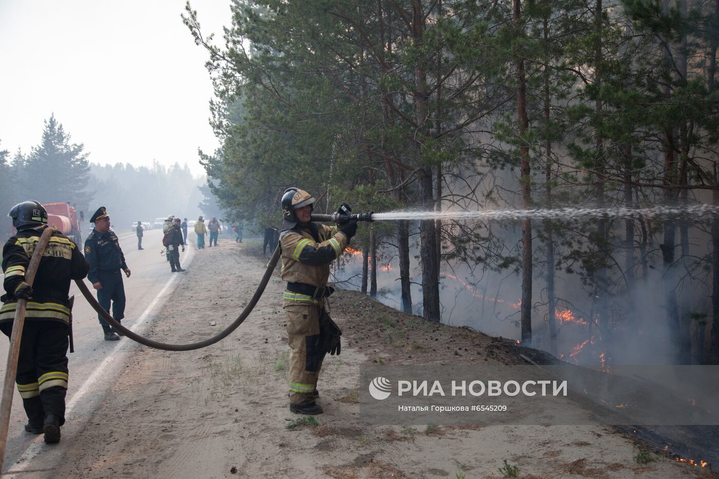 Лесной пожар в Тюменской области