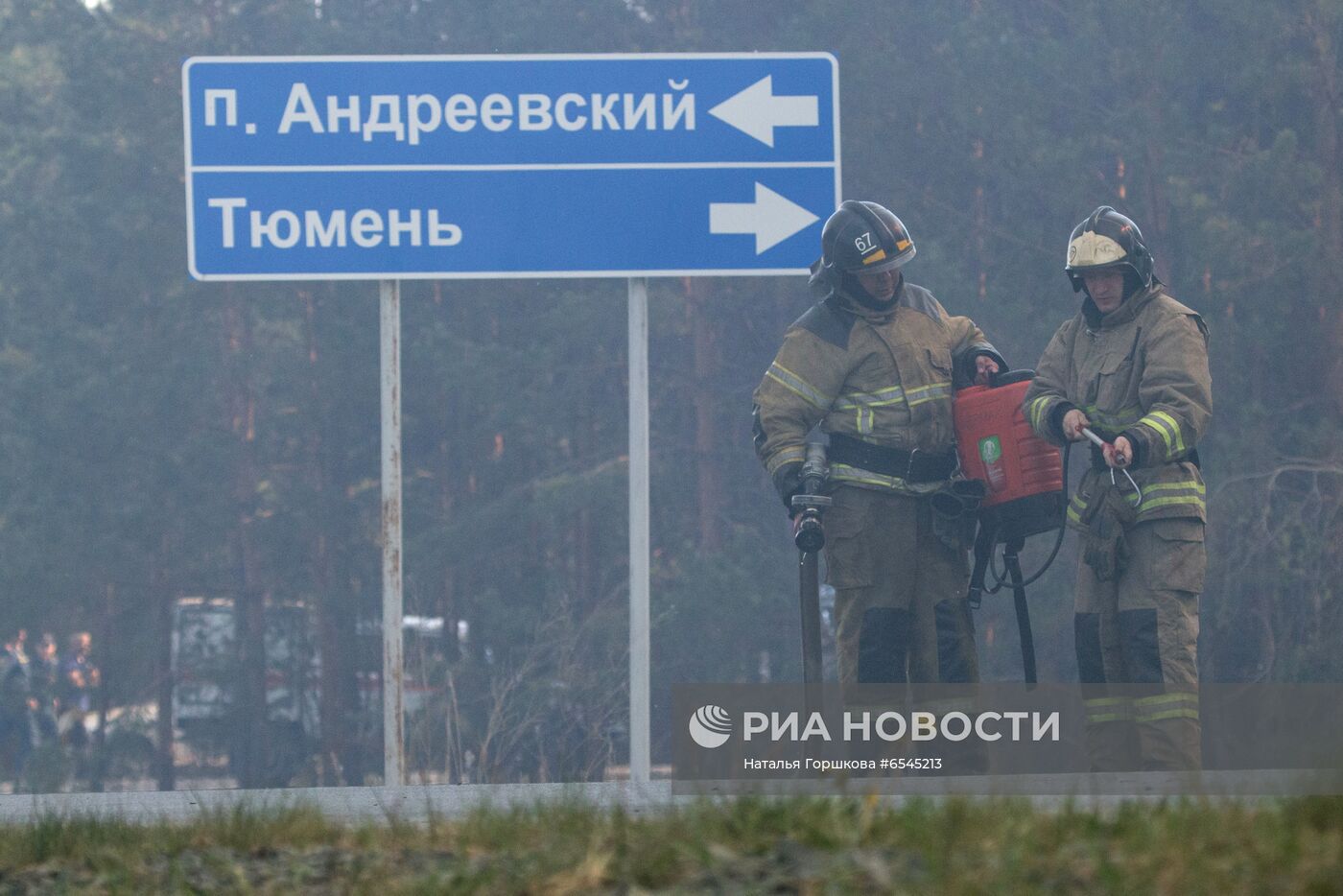 Лесной пожар в Тюменской области