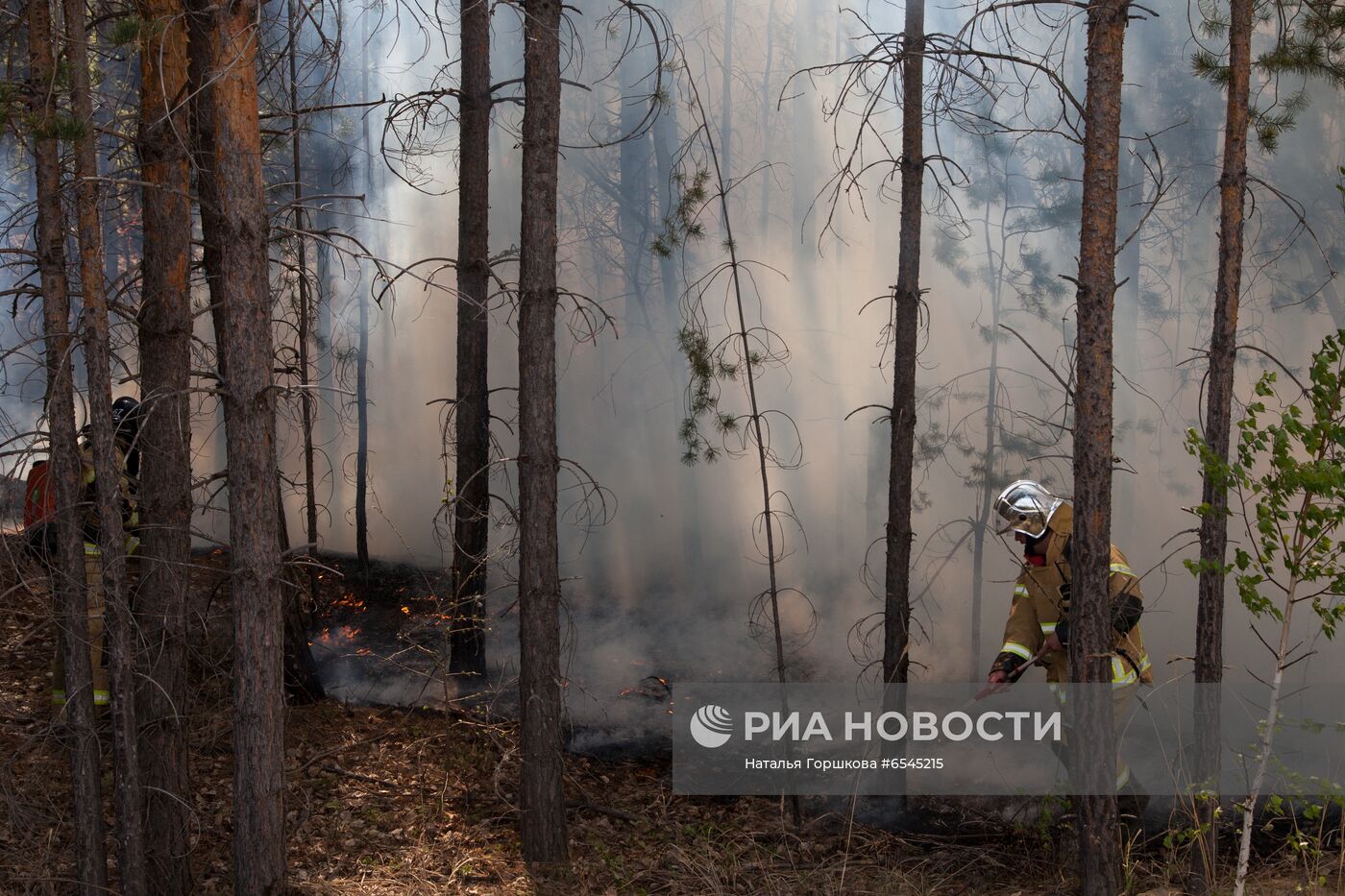 Лесной пожар в Тюменской области