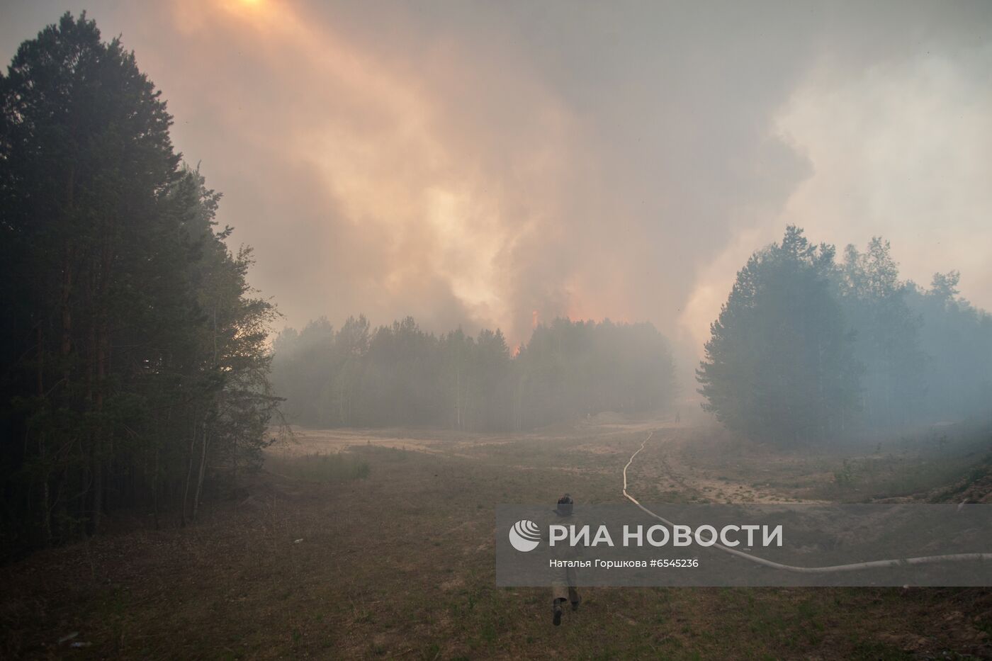 Лесной пожар в Тюменской области