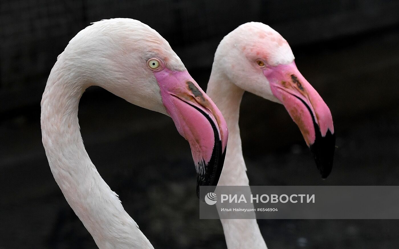 Начало летнего сезона в парке "Роев ручей"