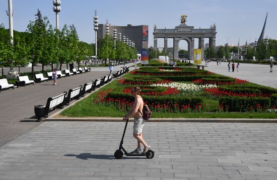 Жара в Москве 