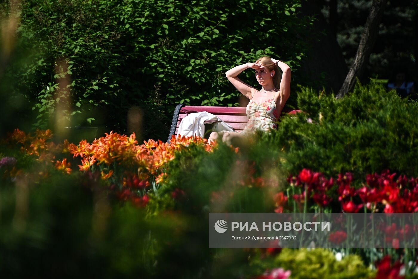 Жара в Москве 