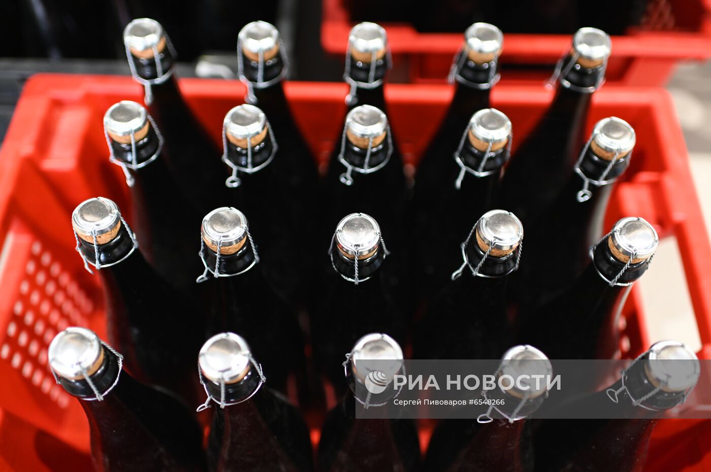 Производство вина в Ростовской области