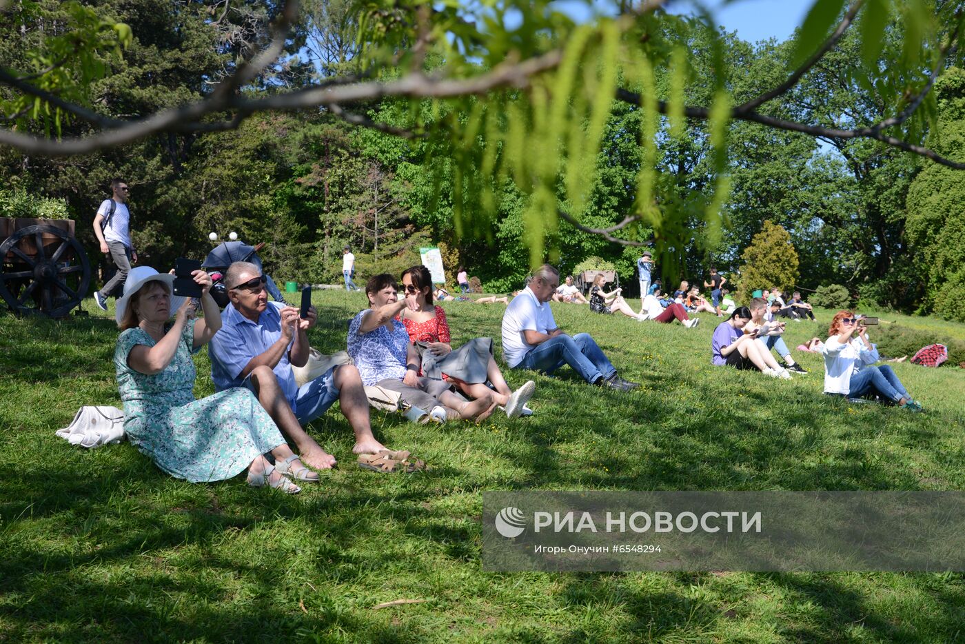 Цветение плодовых деревьев в парке "Дендрарий" в Сочи