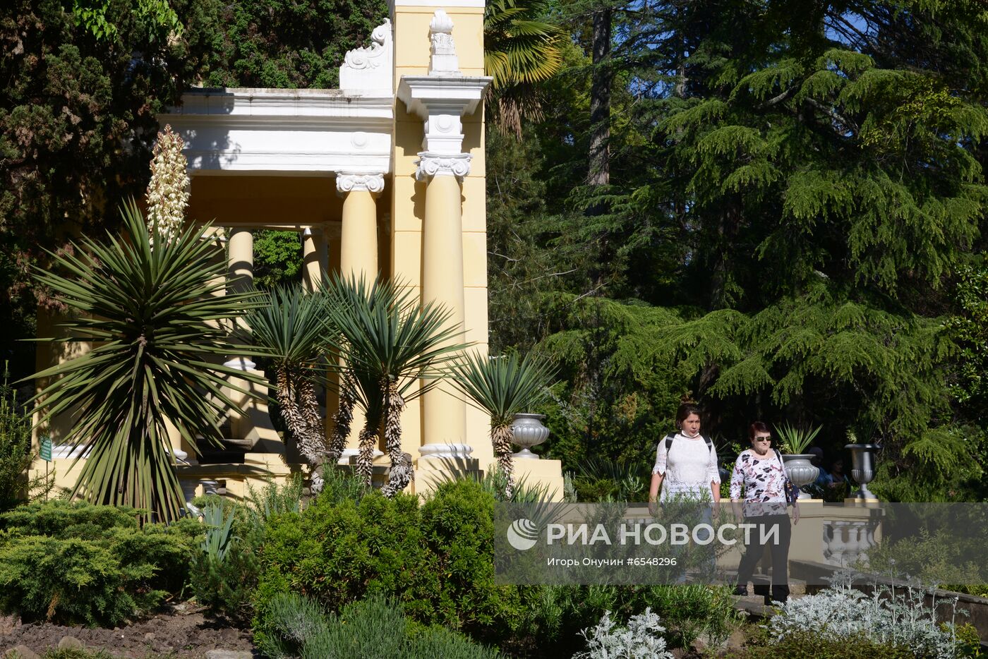 Цветение плодовых деревьев в парке "Дендрарий" в Сочи