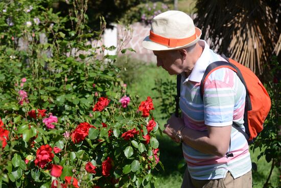 Цветение плодовых деревьев в парке "Дендрарий" в Сочи