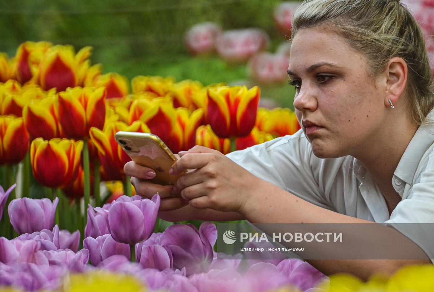 Цветение в Москве 