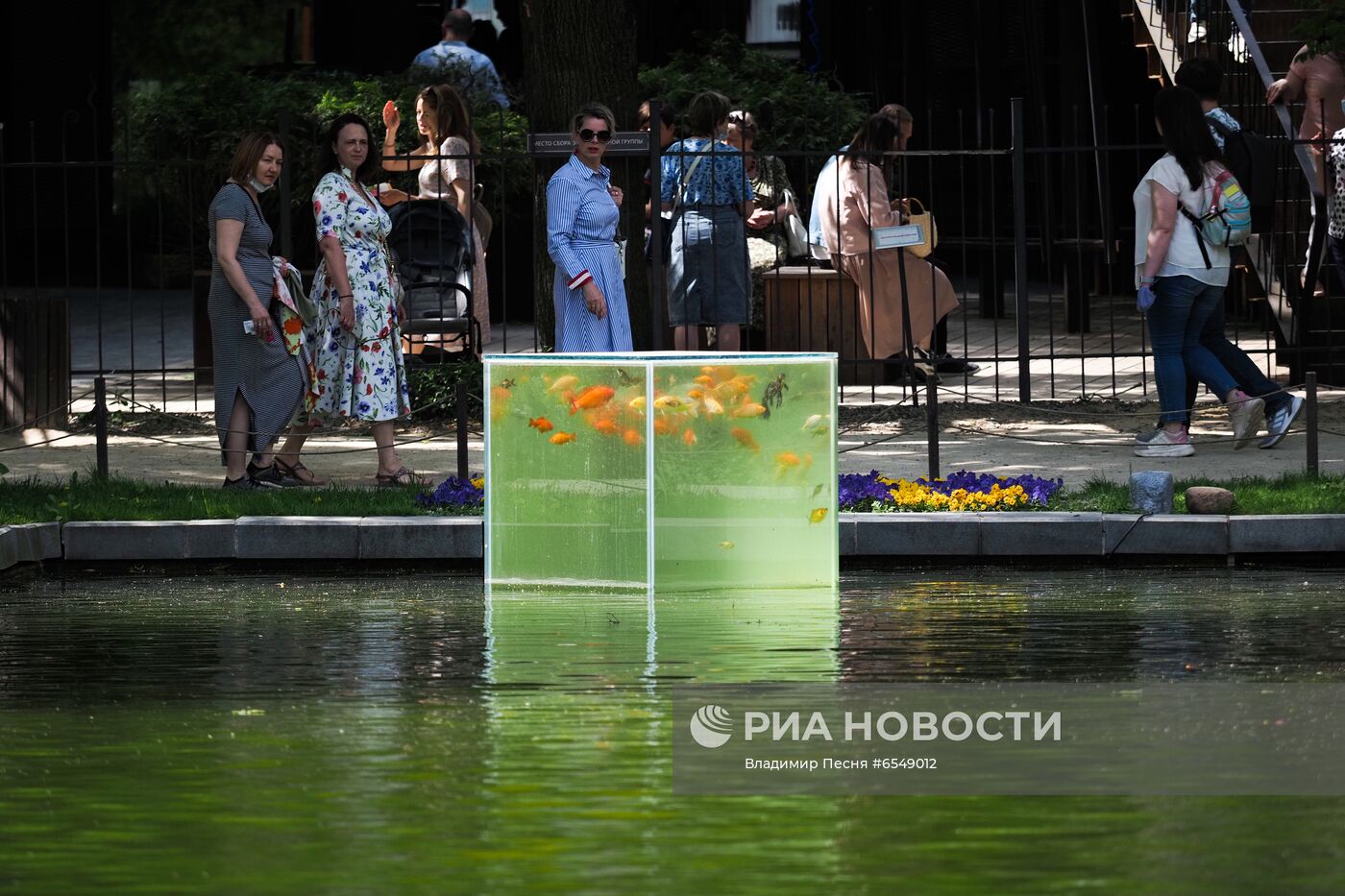 Цветение в Москве 