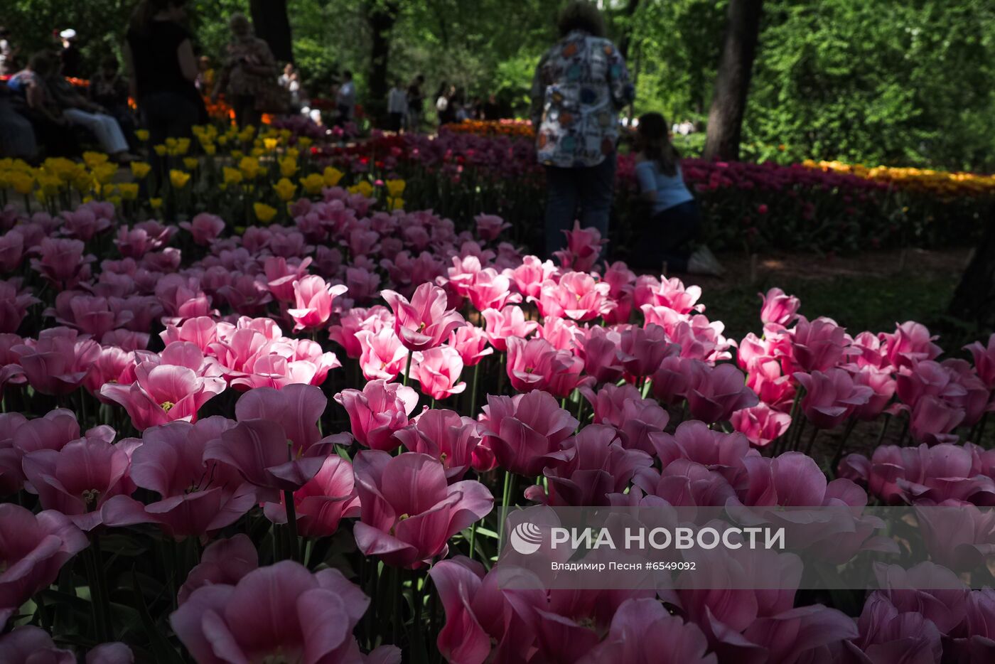 Цветение в Москве 