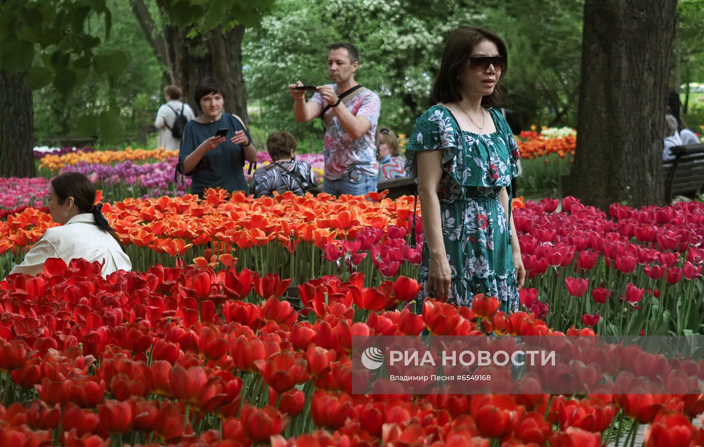 Цветение в Москве 