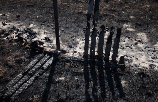 Последствия пожаров в Тюменской области